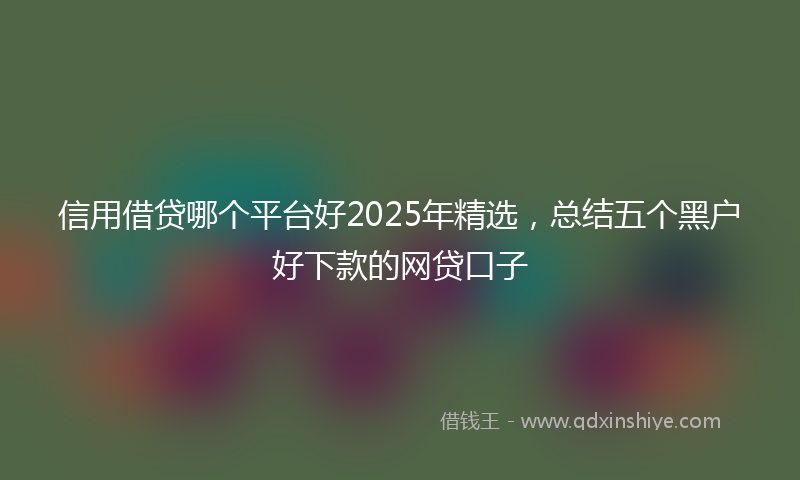 信用借贷哪个平台好2025年精选，总结五个黑户好下款的网贷口子
