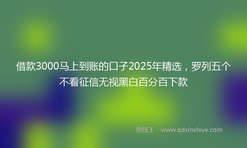 借款3000马上到账的口子2025年精选，罗列五个不看征信无视黑白百分百下款