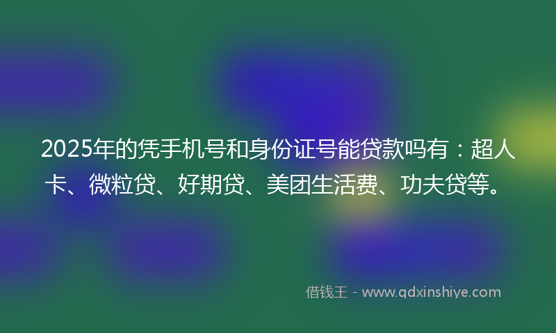 2025年的凭手机号和身份证号能贷款吗有：超人卡、微粒贷、好期贷、美团生活费、功夫贷等。