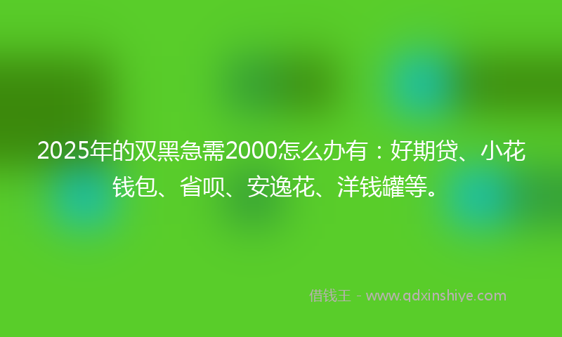 2025年的双黑急需2000怎么办有：好期贷、小花钱包、省呗、安逸花、洋钱罐等。