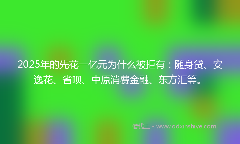 2025年的先花一亿元为什么被拒有：随身贷、安逸花、省呗、中原消费金融、东方汇等。