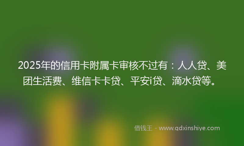 2025年的信用卡附属卡审核不过有：人人贷、美团生活费、维信卡卡贷、平安i贷、滴水贷等。