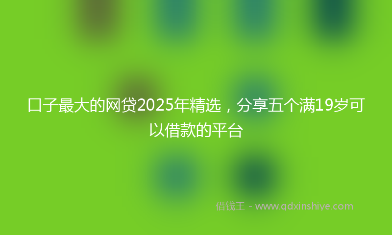 口子最大的网贷2025年精选，分享五个满19岁可以借款的平台