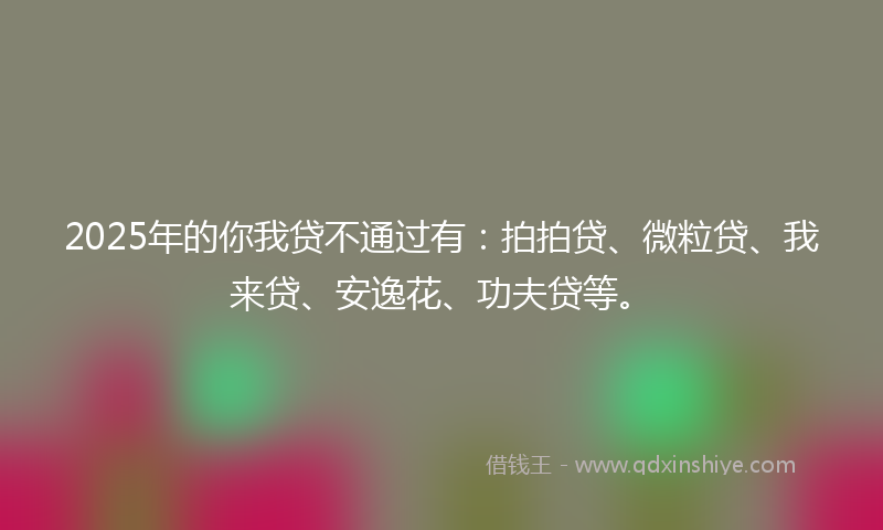 2025年的你我贷不通过有：拍拍贷、微粒贷、我来贷、安逸花、功夫贷等。