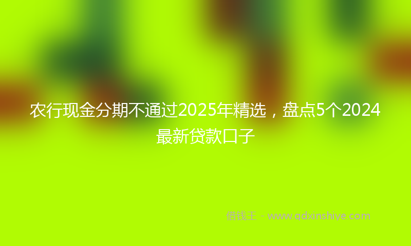 农行现金分期不通过2025年精选，盘点5个2024最新贷款口子