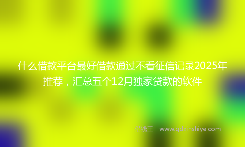 什么借款平台最好借款通过不看征信记录2025年推荐，汇总五个12月独家贷款的软件
