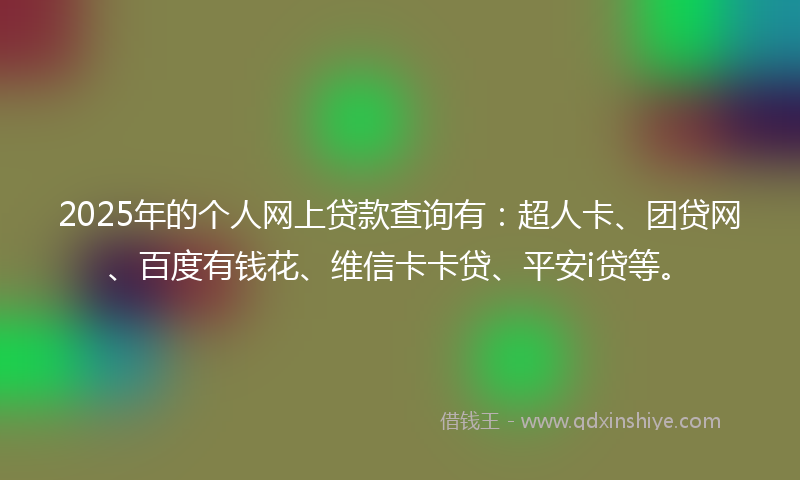 2025年的个人网上贷款查询有：超人卡、团贷网、百度有钱花、维信卡卡贷、平安i贷等。