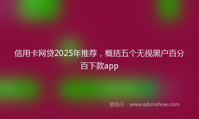 信用卡网贷2025年推荐，概括五个无视黑户百分百下款app