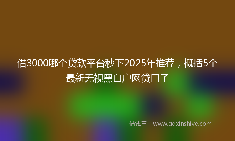 借3000哪个贷款平台秒下2025年推荐，概括5个最新无视黑白户网贷口子