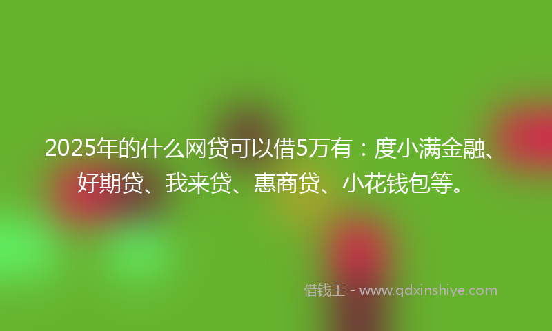 2025年的什么网贷可以借5万有：度小满金融、好期贷、我来贷、惠商贷、小花钱包等。