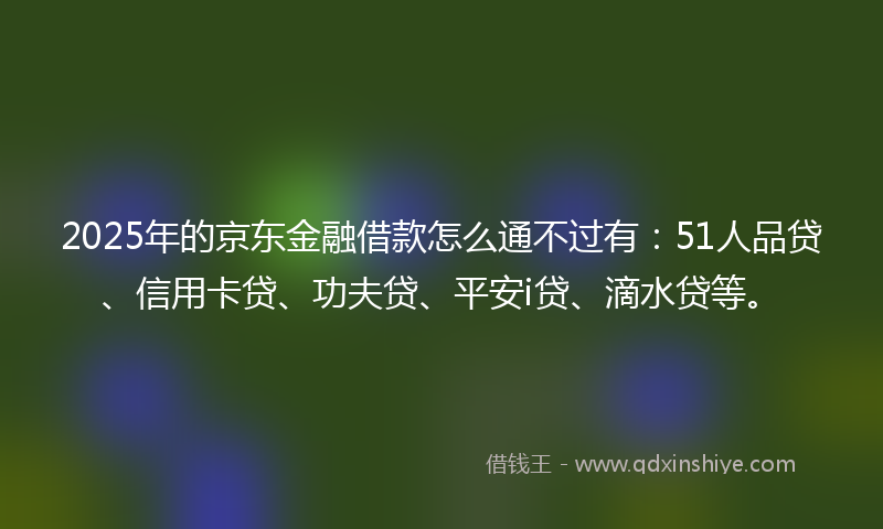 2025年的京东金融借款怎么通不过有:51人品贷、信用卡贷、功夫贷、平安i贷、滴水贷等。