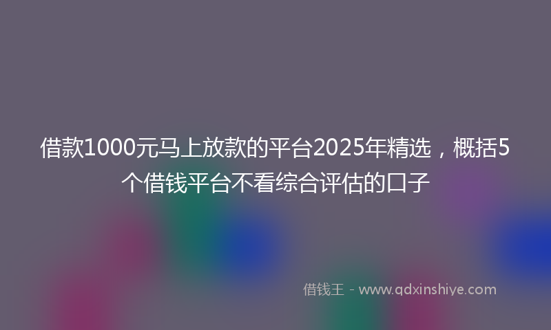借款1000元马上放款的平台2025年精选，概括5个借钱平台不看综合评估的口子