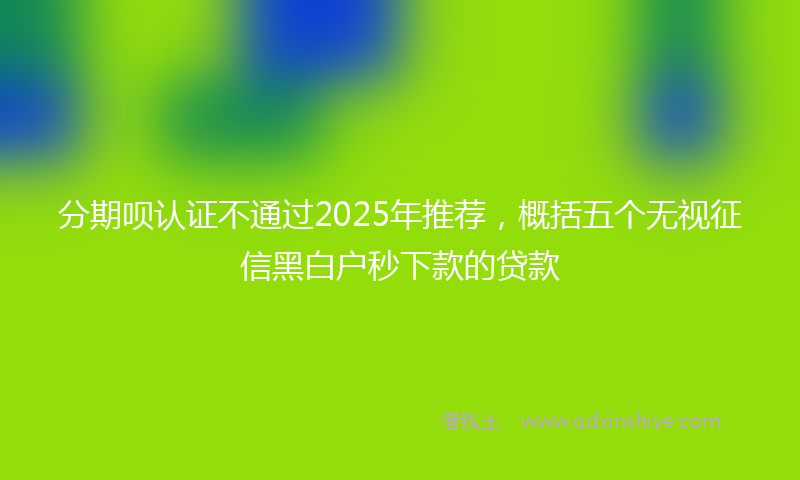 分期呗认证不通过2025年推荐，概括五个无视征信黑白户秒下款的贷款
