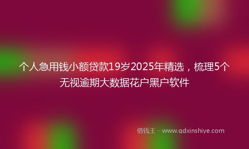 个人急用钱小额贷款19岁2025年精选，梳理5个无视逾期大数据花户黑户软件