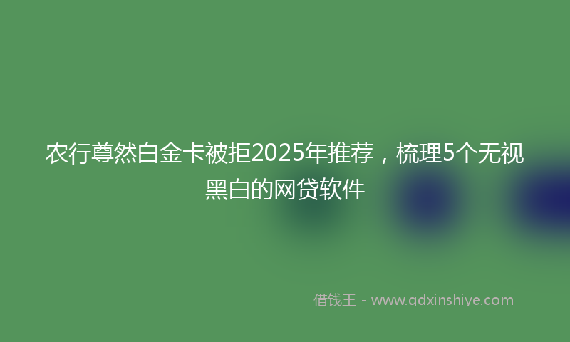 农行尊然白金卡被拒2025年推荐，梳理5个无视黑白的网贷软件