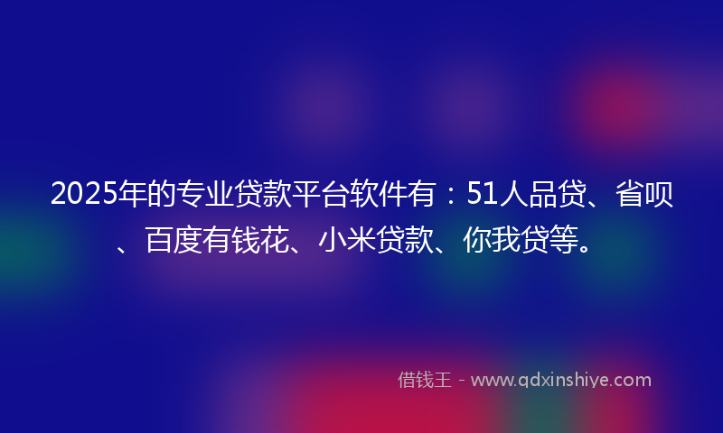 2025年的专业贷款平台软件有：51人品贷、省呗、百度有钱花、小米贷款、你我贷等。