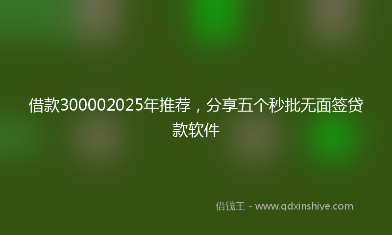 借款300002025年推荐，分享五个秒批无面签贷款软件