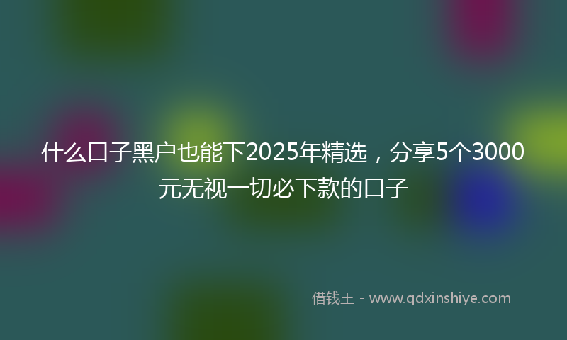 什么口子黑户也能下2025年精选，分享5个3000元无视一切必下款的口子