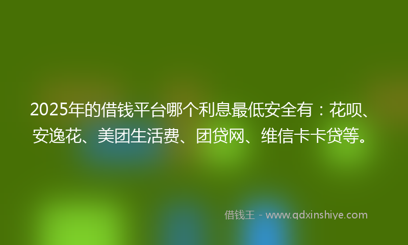 2025年的借钱平台哪个利息最低安全有：花呗、安逸花、美团生活费、团贷网、维信卡卡贷等。