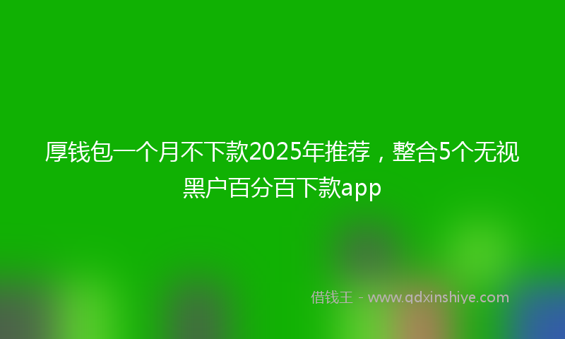 厚钱包一个月不下款2025年推荐，整合5个无视黑户百分百下款app