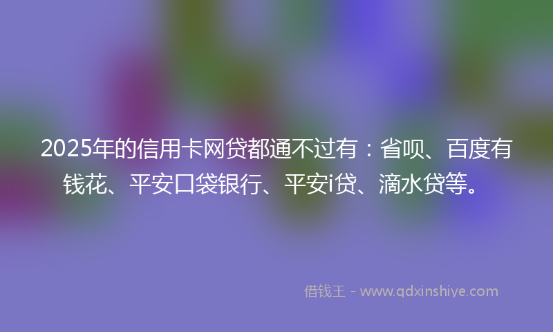 2025年的信用卡网贷都通不过有：省呗、百度有钱花、平安口袋银行、平安i贷、滴水贷等。