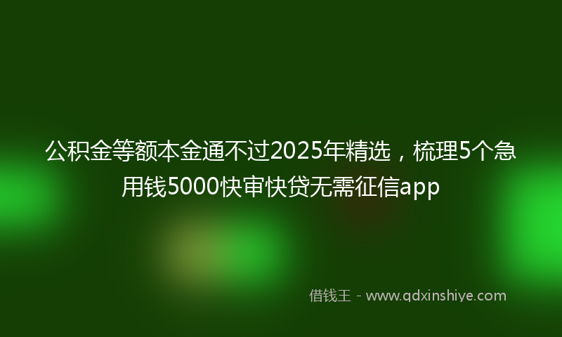 公积金等额本金通不过2025年精选，梳理5个急用钱5000快审快贷无需征信app