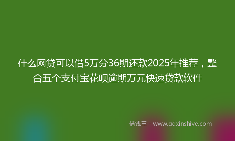 什么网贷可以借5万分36期还款2025年推荐，整合五个支付宝花呗逾期万元快速贷款软件