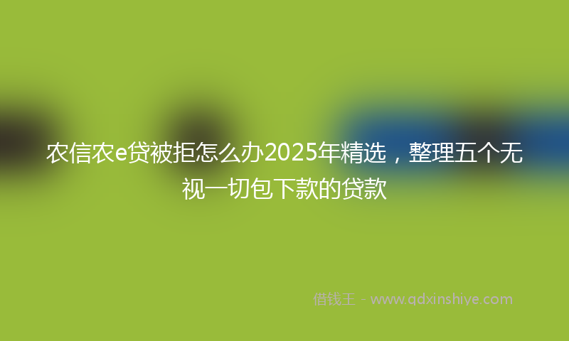 农信农e贷被拒怎么办2025年精选，整理五个无视一切包下款的贷款