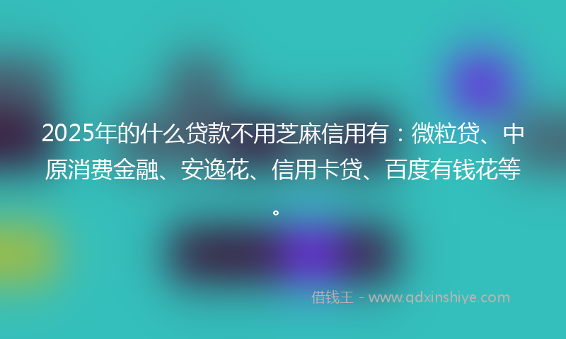 2025年的什么贷款不用芝麻信用有：微粒贷、中原消费金融、安逸花、信用卡贷、百度有钱花等。