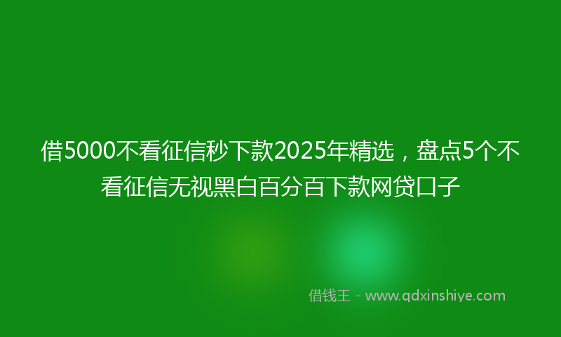 借5000不看征信秒下款2025年精选，盘点5个不看征信无视黑白百分百下款网贷口子