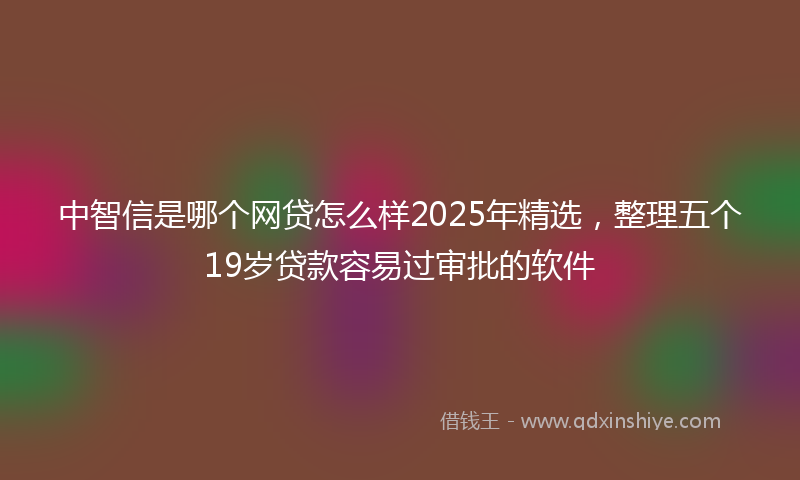 中智信是哪个网贷怎么样2025年精选,整理五个19岁贷款容易过审批的软件