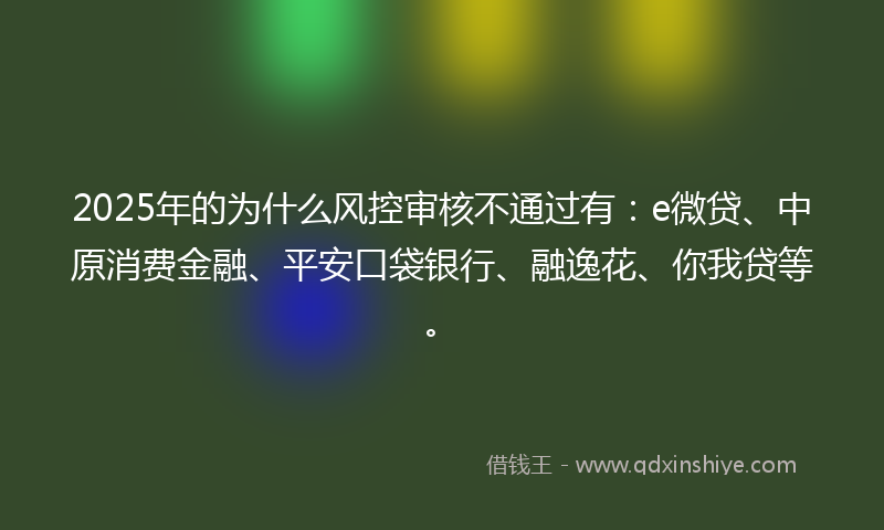 2025年的为什么风控审核不通过有：e微贷、中原消费金融、平安口袋银行、融逸花、你我贷等。