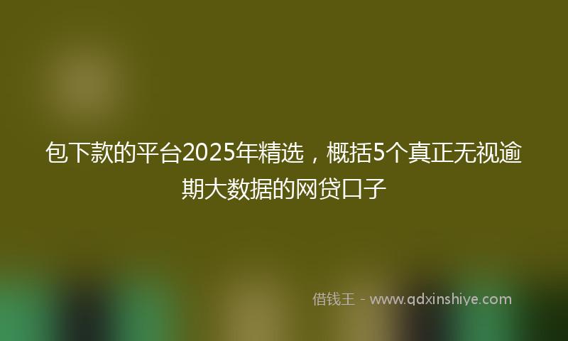 包下款的平台2025年精选，概括5个真正无视逾期大数据的网贷口子