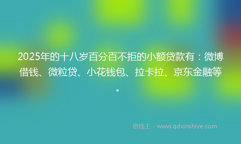 2025年的十八岁百分百不拒的小额贷款有：微博借钱、微粒贷、小花钱包、拉卡拉、京东金融等。
