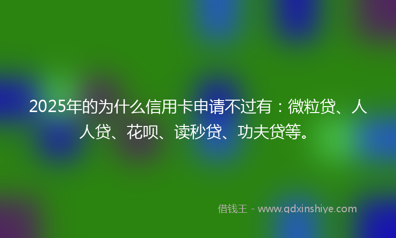 2025年的为什么信用卡申请不过有：微粒贷、人人贷、花呗、读秒贷、功夫贷等。