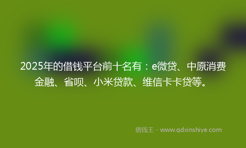 2025年的借钱平台前十名有：e微贷、中原消费金融、省呗、小米贷款、维信卡卡贷等。