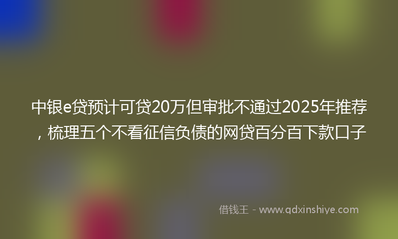 中银e贷预计可贷20万但审批不通过2025年推荐，梳理五个不看征信负债的网贷百分百下款口子