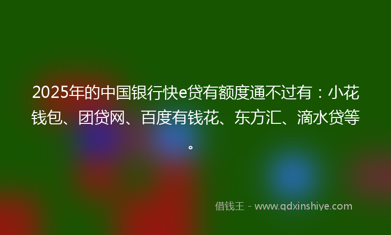 2025年的中国银行快e贷有额度通不过有：小花钱包、团贷网、百度有钱花、东方汇、滴水贷等。