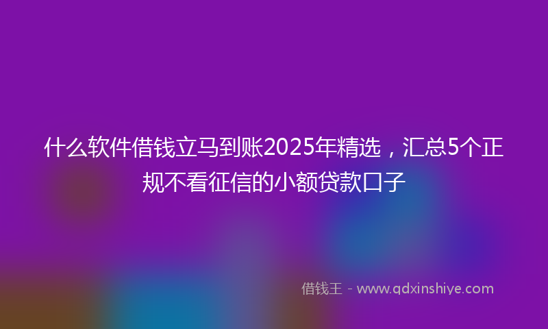 什么软件借钱立马到账2025年精选，汇总5个正规不看征信的小额贷款口子