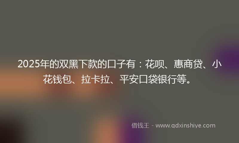 2025年的双黑下款的口子有：花呗、惠商贷、小花钱包、拉卡拉、平安口袋银行等。