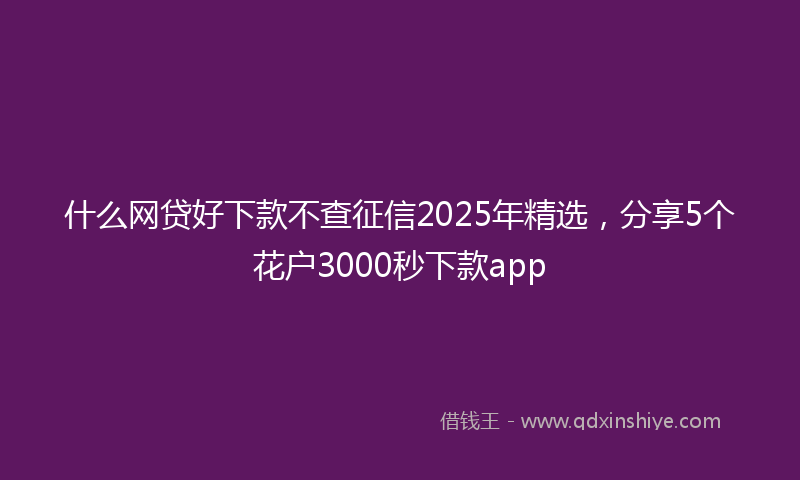 什么网贷好下款不查征信2025年精选，分享5个花户3000秒下款app