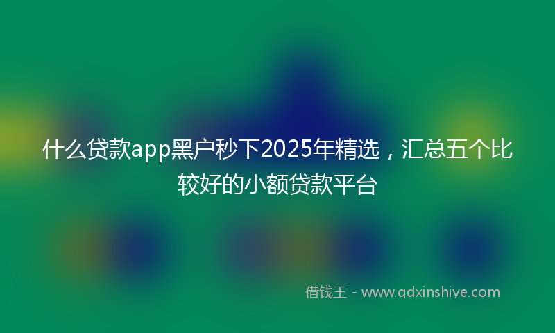 什么贷款app黑户秒下2025年精选，汇总五个比较好的小额贷款平台