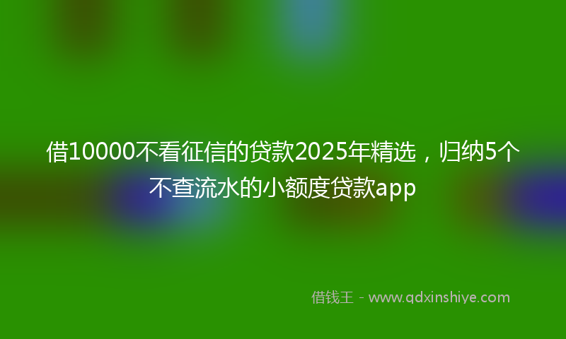 借10000不看征信的贷款2025年精选，归纳5个不查流水的小额度贷款app