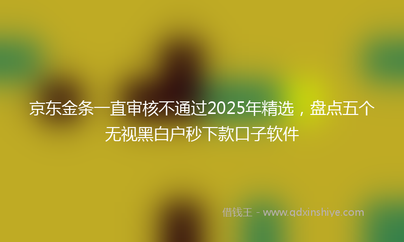 京东金条一直审核不通过2025年精选，盘点五个无视黑白户秒下款口子软件