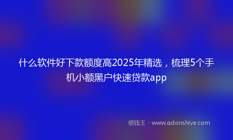 什么软件好下款额度高2025年精选，梳理5个手机小额黑户快速贷款app
