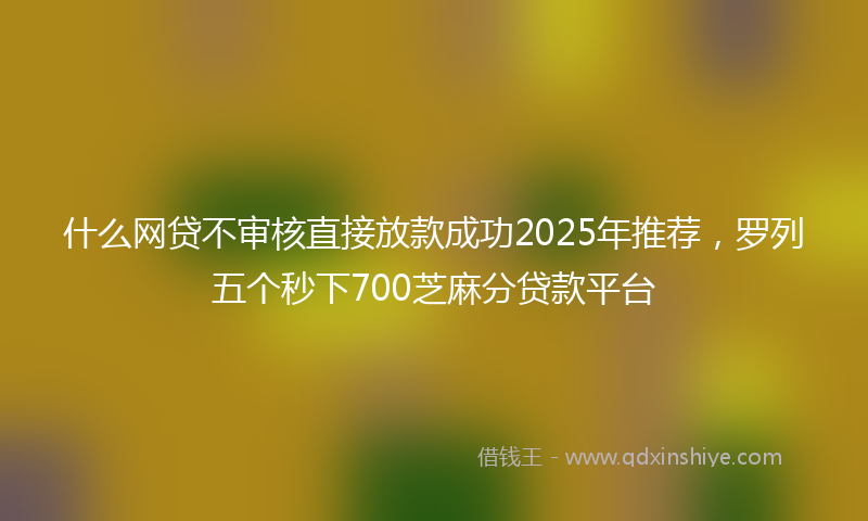 什么网贷不审核直接放款成功2025年推荐，罗列五个秒下700芝麻分贷款平台