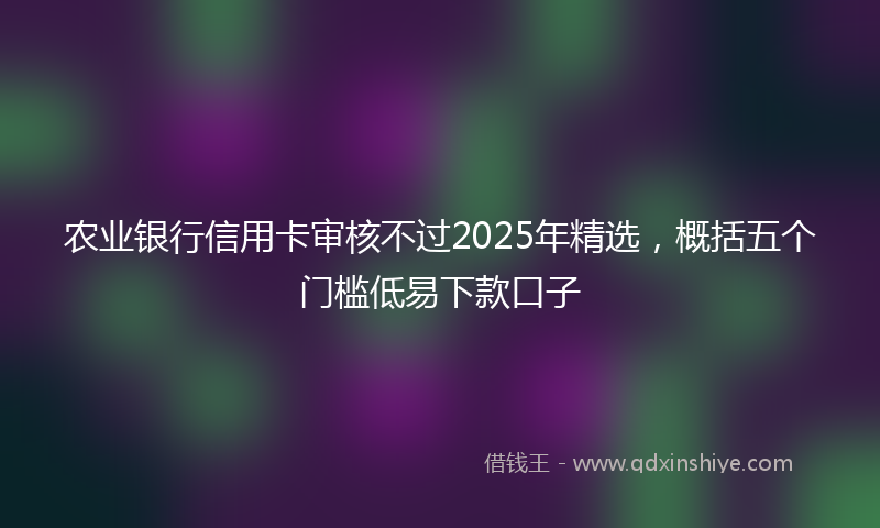 农业银行信用卡审核不过2025年精选，概括五个门槛低易下款口子
