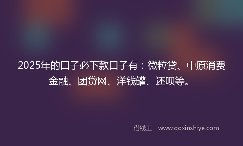 2025年的口子必下款口子有：微粒贷、中原消费金融、团贷网、洋钱罐、还呗等。