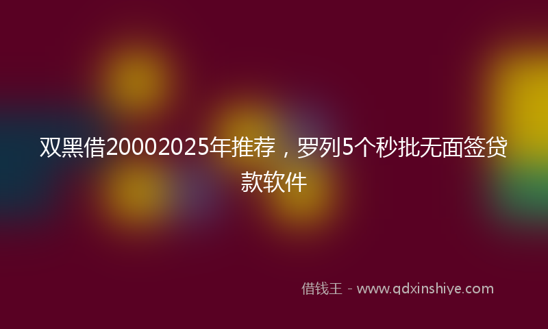 双黑借20002025年推荐，罗列5个秒批无面签贷款软件