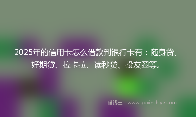 2025年的信用卡怎么借款到银行卡有：随身贷、好期贷、拉卡拉、读秒贷、投友圈等。